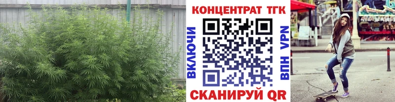 Дистиллят ТГК Wax  купить закладку  Кинель 