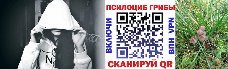 Галлюциногенные грибы Cubensis  Кинель 