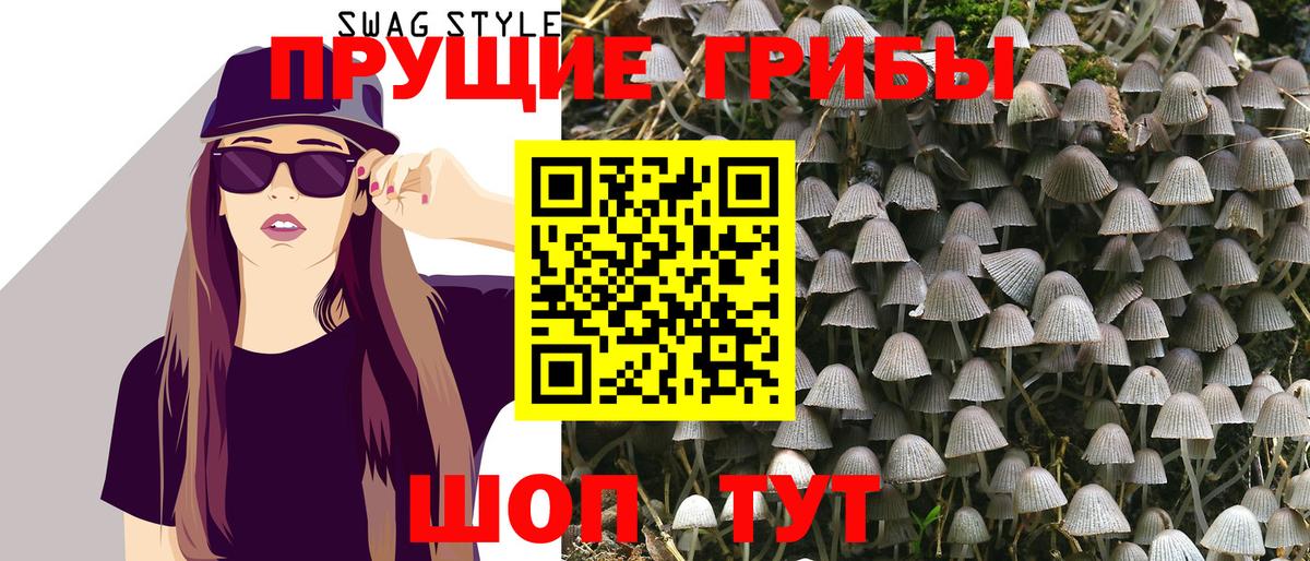 Псилоцибиновые грибы GOLDEN TEACHER  Кинель  Псилоцибиновые грибы ЛСД 